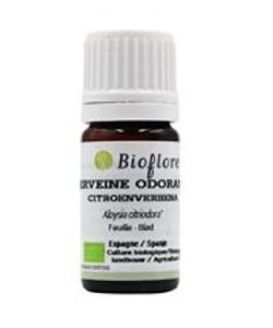 Verveine odorante (Lippia citriodora) BIO, 2,5 ml